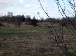 Участок в поселке Силино