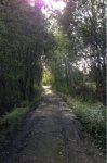 Подъездная дорога