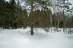 зимний вид участка