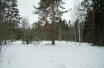 зимний вид участка