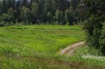 дорога к участку