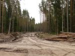дороги по територии участка площадью 34.69 га