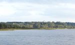 вид о с участка 