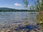 Размеры водоохранных зон и прибрежных защитных полос. Ограничения при строительстве в водоохранных зонах